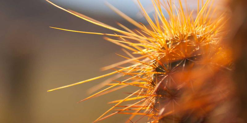 便携电梯10:重新定义现代搬运与升降解决方案