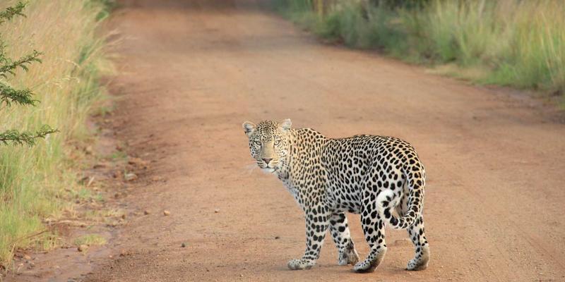 便携电梯56:重新定义物料搬运的智能解决方案