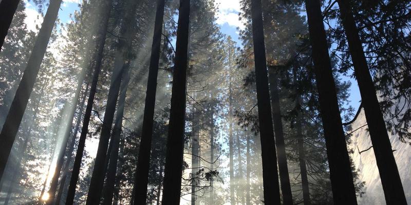 便携电梯68:革新物料搬运的工业升降平台解决方案