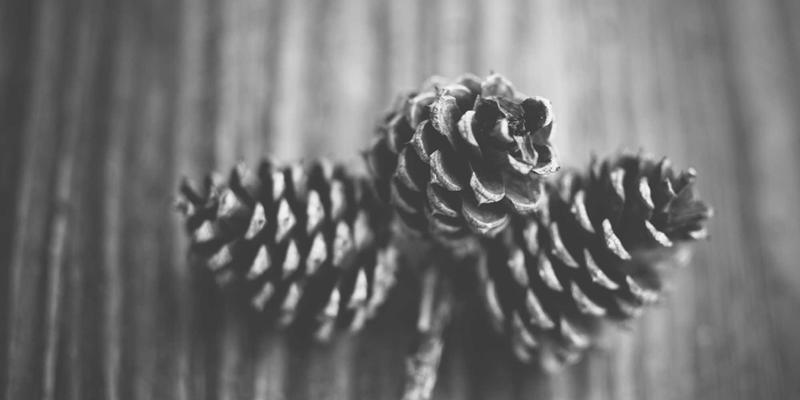 便携电梯电力系统与续航能力深度解析：电池技术与应急方案如何保障升降设备稳定运行