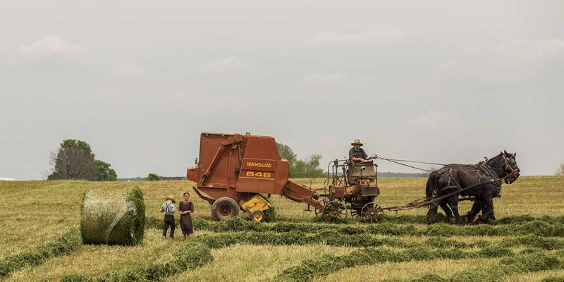 便携电梯的模块化设计革命：如何实现快速拆装与灵活搬运，提升物料搬运效率