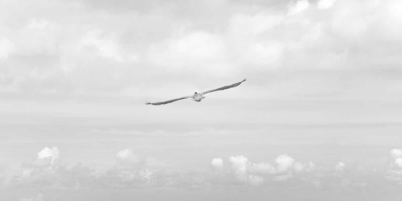 便携电梯：重新定义搬运工具与工业升降机的灵活解决方案