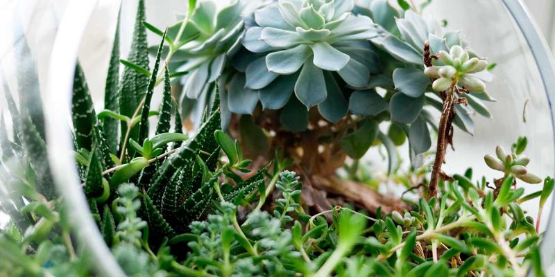 舞台与影视拍摄的革命性搬运工具：便携式升降机如何重塑物料搬运方案